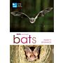 RSPB Spotlight - Bats
