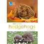 RSPB Spotlight - Hedgehogs