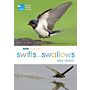 RSPB Spotlight - Swifts and Swallows