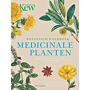 Botanisch handboek medicinale planten - Geneeskrachtige planten & huismiddeltjes van A tot Z