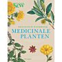 Botanisch handboek medicinale planten - Geneeskrachtige planten & huismiddeltjes van A tot Z (September 2024)