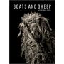 Goats and Sheep - A Portrait Farm