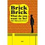 Brick, Brick What Do You Want To Be?