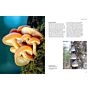 The Lives of Fungi - A Natural History of Our Planet's Decomposers