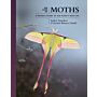 The Lives of Moths - A Natural History of Our Planet's Moth Life