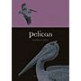 Pelican