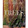 Art Wolfe - Trees between Earth and Heaven