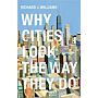 Why Cities Look the Way They Do