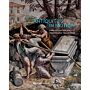 Antiquities in Motion - From Excavation Sites to Renaissance Collections