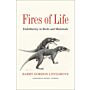 Fires of Life - Endothermy in Birds and Mammals