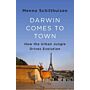 Darwin Comes to Town (PBK)