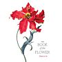 The Book of the Flower - Flowers in Art