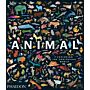 Animal - Exploring the Zoological World