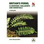 Britain's Ferns - A Field Guide to the Clubmosses, Quillworts, Horsetails and Ferns of Great Britain and Ireland