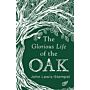 The Glorious Life of the Oak