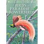 Birds of Paradise and Bowerbirds