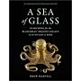 Sea of Glass - Searching for the Blaschkas` Fragile Legacy in an Ocean at Risk (PBK)