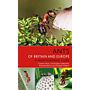 Ants of Britain and Europe - A Photographic Guide