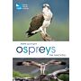 RSPB Spotlight - Osprey