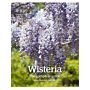 RHS Wisteria - The Complete Guide