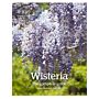 RHS Wisteria - The Complete Guide (currently unavailable)