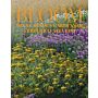 Bloom: The Luminous Gardens of Frederico Azevedo