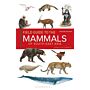 Field Guide to the Mammals of South East-Asia