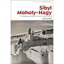 Sibyl Moholy-Nagy : Architecture, Modernism and its Discontents