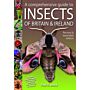 A Comprehensive Guide to the Insects of Britain & Europe