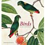 Birds: The Art of Ornithology (Autumn 2019)
