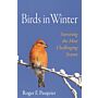 Birds in Winter - Surviving the Most Challening Season