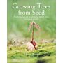 Growing Trees from Seed