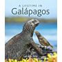 A Lifetime in Galapagos