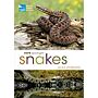 RSPB Spotlight - Snakes