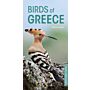 Pocket Photo Guide to the Birds of Greece