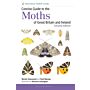 Concise Guide to the Moths of Great Britain and Ireland