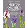 How to Grow Native Orchids in Gardens Large and Small