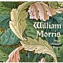 William Morris : Artist Craftsman Pioneer