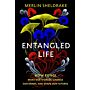 Entangled Life - How Fungi Make Our Worlds, Change Our Minds and Shape Our Futures (PBK)