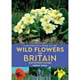 A naturalist's Guide to the Wild Flowers of Britain and Northern Europe