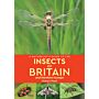 A Naturalist’s Guide to the Insects of Britain & Northern Europe