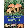 A Naturalist’s Guide to the Mushrooms & other Fungi of Britain & Northern Europe