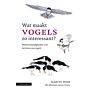 Wat maakt vogels zo interessant - Wetenswaardigheden over het leven van vogels