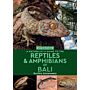 A Naturalist's Guide to the Reptiles & Amphibians of Bali