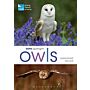 RSPB Spotlight Owls