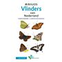 Minigids Vlinders - 79 soorten in een oogopslag