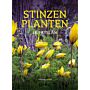Stinzenplanten in Fryslân - Voorjaarsbloeiers in historisch groen