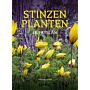 Stinzenplanten in Fryslân - Voorjaarsbloeiers in historisch groen (PBK)