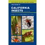 Field Guide to California Insects (Second Revised Edition)