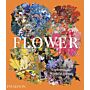 Flower - Exploring the World in Bloom